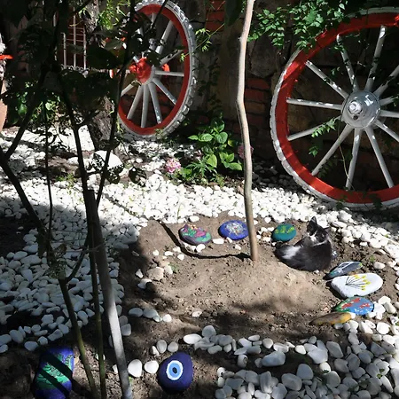 Tuerk Evi 3* Sarimsakli