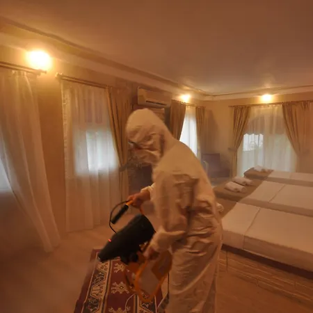 Tuerk Evi Sarimsakli