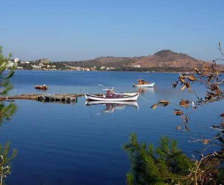 Tuerk Evi 3* Sarimsakli