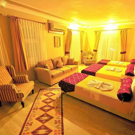 Tuerk Evi 3* Sarimsakli