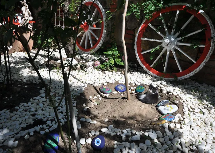 Tuerk Evi 3* Sarimsakli