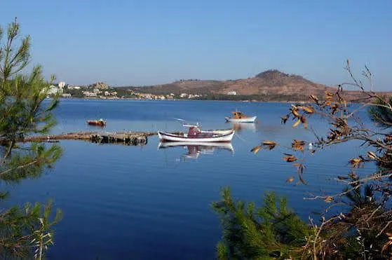 Tuerk Evi 3* Sarimsakli