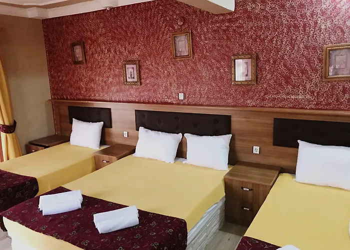 Tuerk Evi 3* Sarimsakli